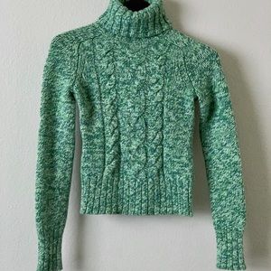 Express Turtle Neck Sweater Pullover Heather Wool